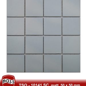https://www.sap.muktiadhi.id/wp-content/uploads/2024/10/TSQ-10141SC-scaled-300x300.jpg